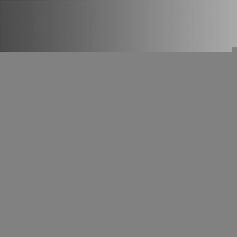 Calefactor exterior infrarrojo Ready Warm 8600 Power Gold