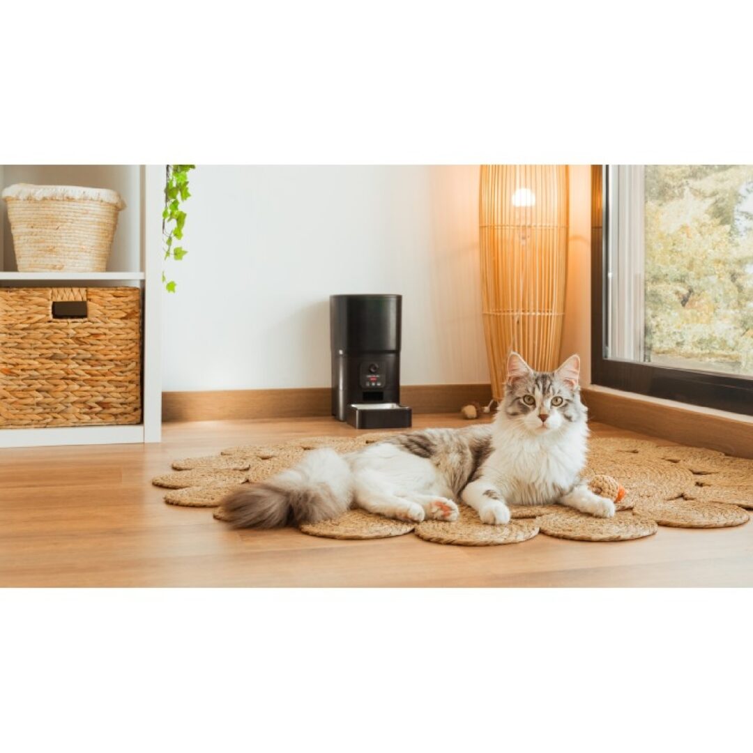 Comedero Pumba 6000 Purrfect Meal Smart Vision